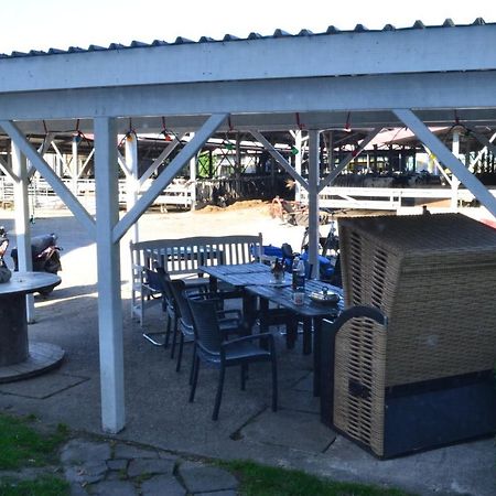 Farm Stay Hof Auf Der Wurp Harrierwurp Εξωτερικό φωτογραφία