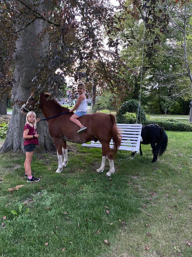 Farm Stay Hof Auf Der Wurp Harrierwurp Εξωτερικό φωτογραφία