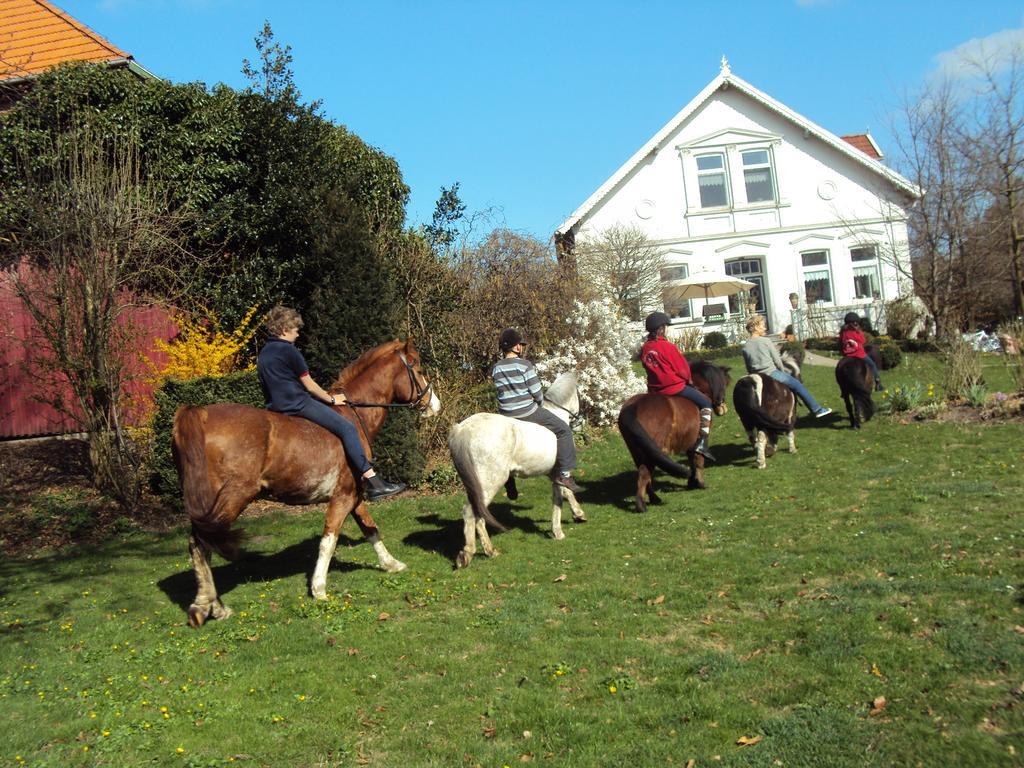 Farm Stay Hof Auf Der Wurp Harrierwurp Εξωτερικό φωτογραφία